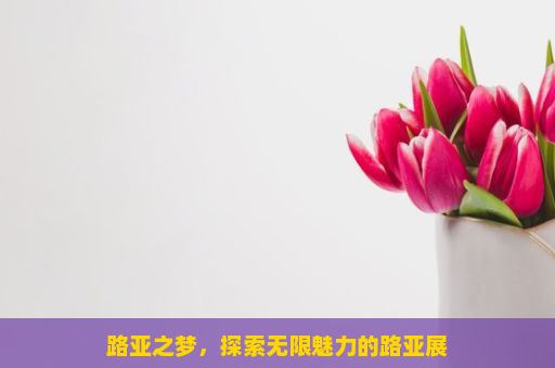 路亚之梦，探索无限魅力的路亚展