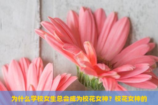 为什么学校女生总会成为校花女神？校花女神的魅力与传奇