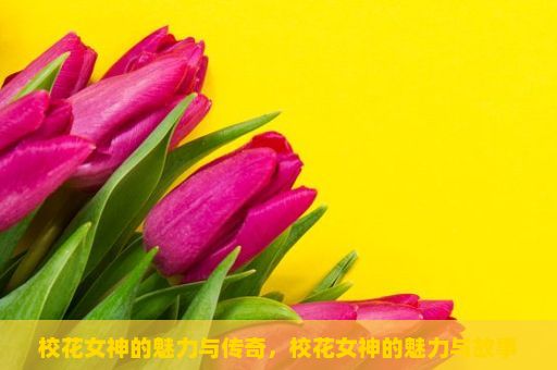 校花女神的魅力与传奇，校花女神的魅力与故事