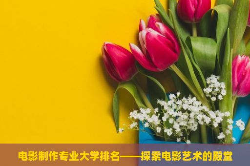 电影制作专业大学排名——探索电影艺术的殿堂