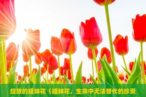 绽放的姐妹花（姐妹花，生命中无法替代的珍贵纽带）