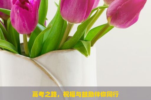 高考之路，祝福与鼓励伴你同行