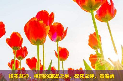 校花女神，校园的璀璨之星，校花女神，青春的美丽与梦想