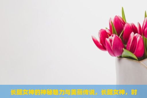 长腿女神的神秘魅力与美丽传说，长腿女神，时尚界的独特魅力