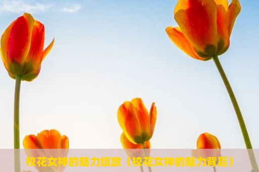 校花女神的魅力绽放（校花女神的魅力背后）