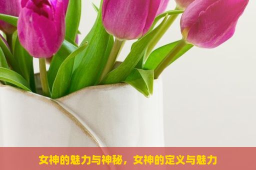 女神的魅力与神秘，女神的定义与魅力