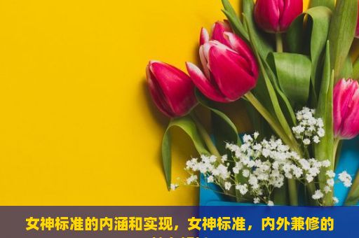 女神标准的内涵和实现，女神标准，内外兼修的魅力解析