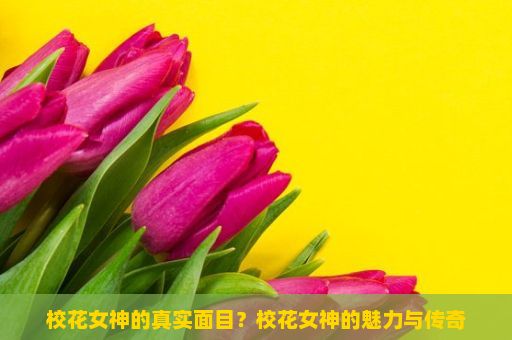 校花女神的真实面目？校花女神的魅力与传奇