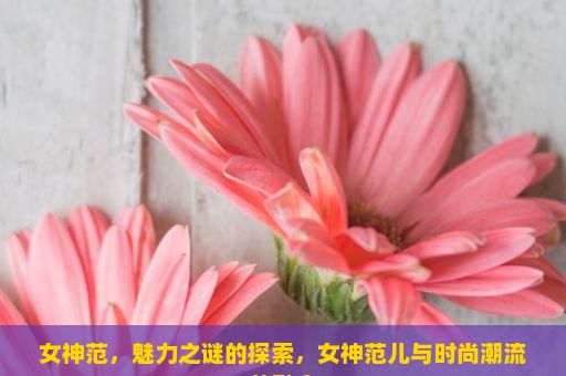 女神范，魅力之谜的探索，女神范儿与时尚潮流的融合