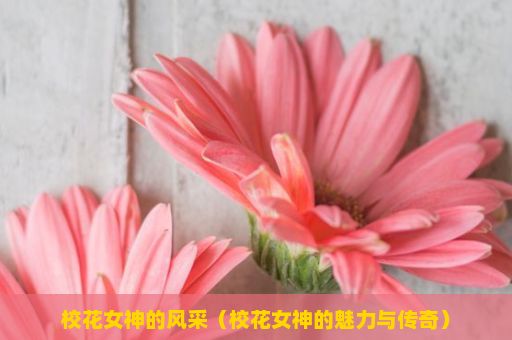 校花女神的风采（校花女神的魅力与传奇）