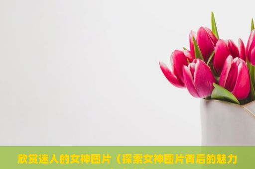 欣赏迷人的女神图片（探索女神图片背后的魅力与意义）