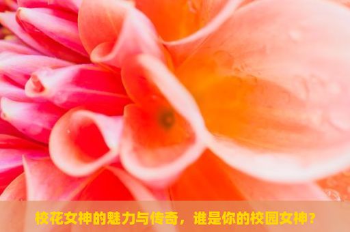 校花女神的魅力与传奇，谁是你的校园女神？