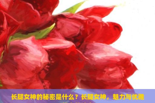 长腿女神的秘密是什么？长腿女神，魅力与优雅的完美结合