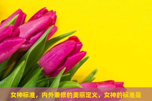 女神标准，内外兼修的美丽定义，女神的标准是什么？