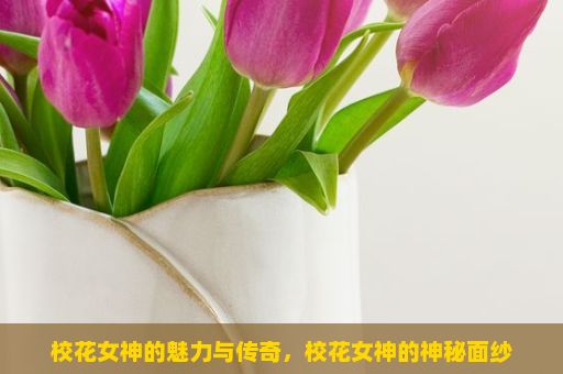 校花女神的魅力与传奇，校花女神的神秘面纱