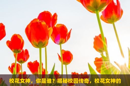 校花女神，你是谁？揭秘校园传奇，校花女神的魅力背后