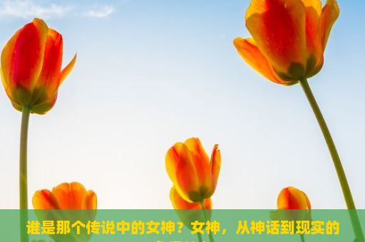 谁是那个传说中的女神？女神，从神话到现实的永恒魅力