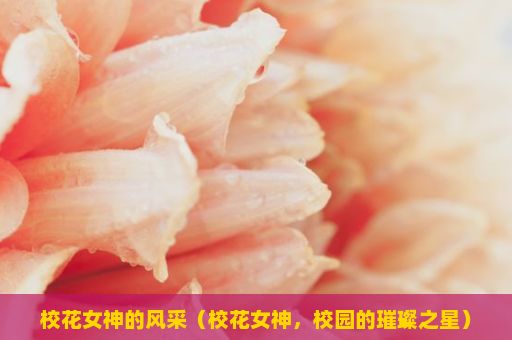 校花女神的风采（校花女神，校园的璀璨之星）