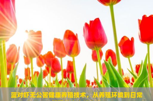 蓝对虾无公害健康养殖技术，从养殖环境到日常管理的全方位指南