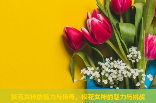 校花女神的魅力与传奇，校花女神的魅力与挑战