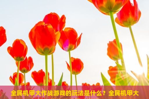 全民机甲大作战游戏的玩法是什么？全民机甲大作战游戏玩法详解