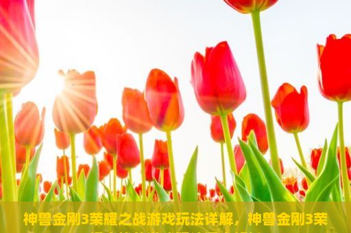 神兽金刚3荣耀之战游戏玩法详解，神兽金刚3荣耀之战的游戏玩法深度解析