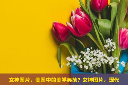 女神图片，美图中的美学典范？女神图片，现代审美与网络文化的交汇