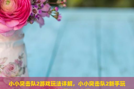 小小突击队2游戏玩法详解，小小突击队2新手玩家应该如何快速上手？