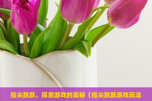 指尖跳跃，探索游戏的奥秘（指尖跳跃游戏玩法详解）