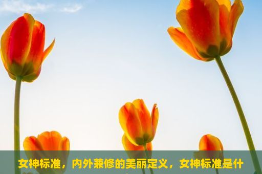 女神标准，内外兼修的美丽定义，女神标准是什么？