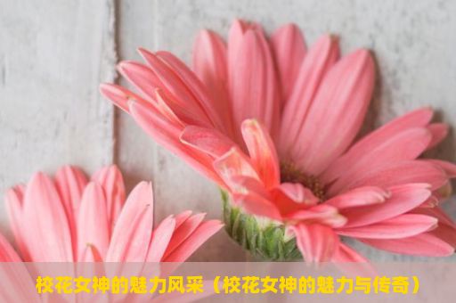 校花女神的魅力风采（校花女神的魅力与传奇）