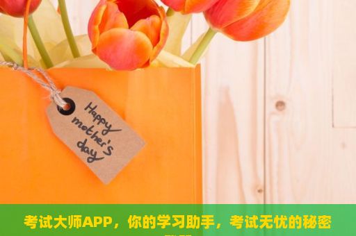 考试大师APP，你的学习助手，考试无忧的秘密武器