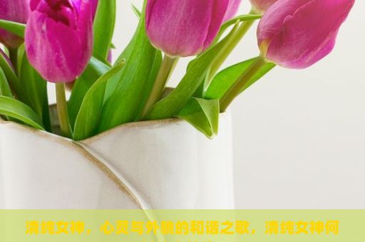 清纯女神，心灵与外貌的和谐之歌，清纯女神何以让人神往？