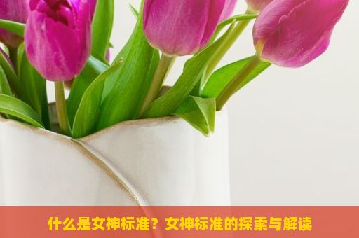 什么是女神标准？女神标准的探索与解读