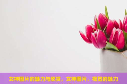 女神图片的魅力与欣赏，女神图片，视觉的魅力与文化解读