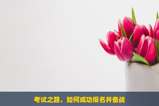 考试之路，如何成功报名并备战