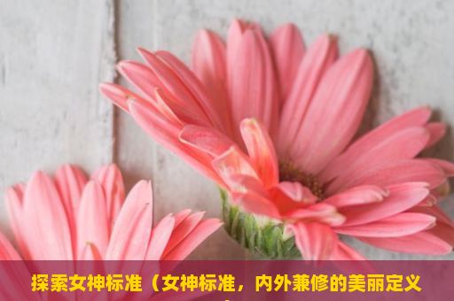 探索女神标准（女神标准，内外兼修的美丽定义）