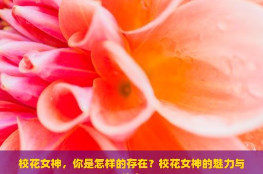 校花女神，你是怎样的存在？校花女神的魅力与传奇