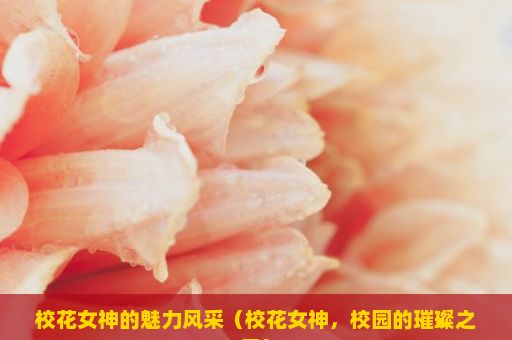 校花女神的魅力风采（校花女神，校园的璀璨之星）