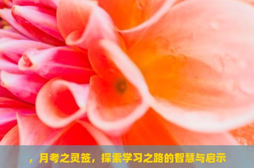 ，月考之灵签，探索学习之路的智慧与启示