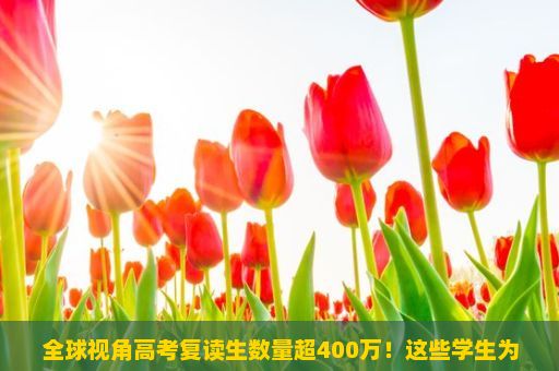 全球视角高考复读生数量超400万！这些学生为何选择再次踏入人生这场激烈的竞争？高考之路，祝福与鼓励伴你前行