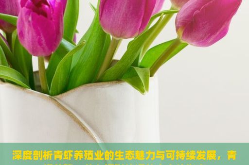 深度剖析青虾养殖业的生态魅力与可持续发展，青虾养殖，从入门到精通的全方位指南