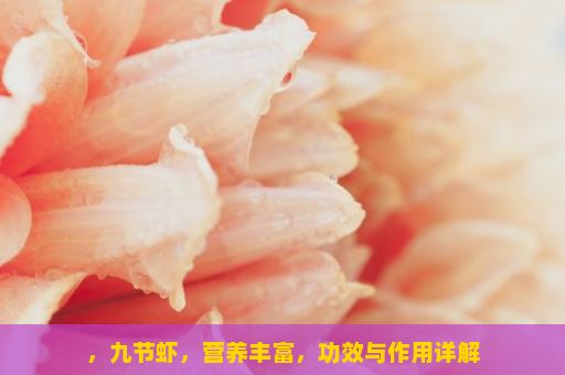 ，九节虾，营养丰富，功效与作用详解