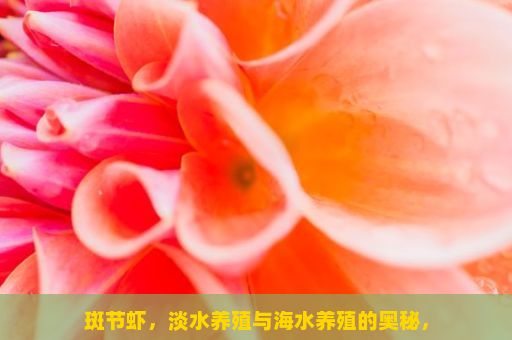 斑节虾，淡水养殖与海水养殖的奥秘，