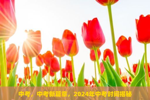 中考，中考新篇章，2024年中考时间揭秘