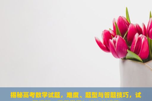 揭秘高考数学试题，难度、题型与答题技巧，试题调研，探索学习与进步的桥梁