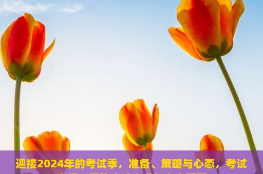 迎接2024年的考试季，准备、策略与心态，考试大师，揭秘应试之道与人生智慧