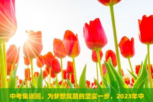 中考集训班，为梦想筑路的坚实一步，2023年中考时间，5月7日至9日