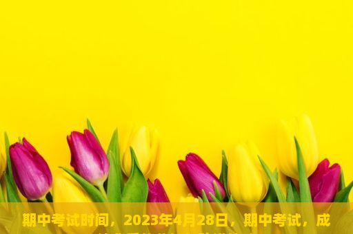 期中考试时间，2023年4月28日，期中考试，成绩背后的分析与改进策略