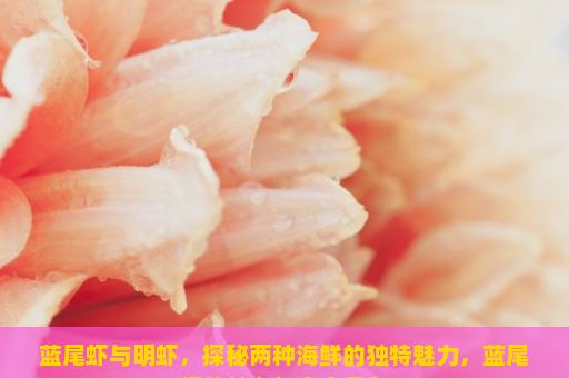 蓝尾虾与明虾，探秘两种海鲜的独特魅力，蓝尾虾的魅力与生态角色